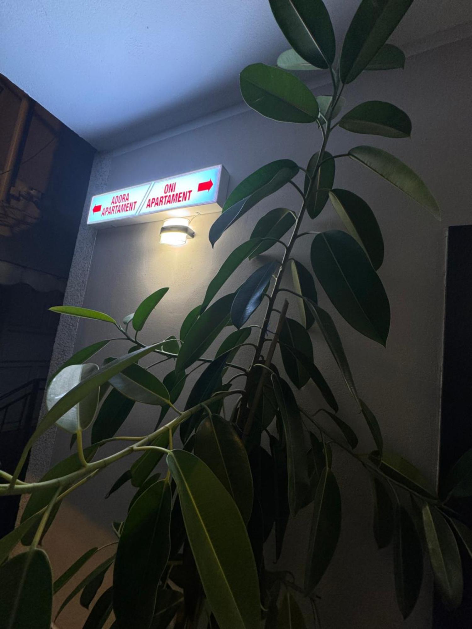 Leilighet Oni Tiranë